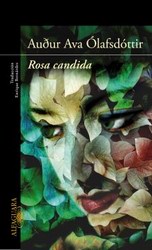 Rosa candida Rosa candida