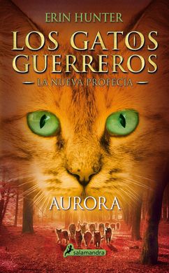 Aurora Aurora