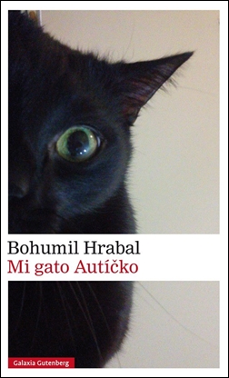 Mi gato Autícko Mi gato Autícko