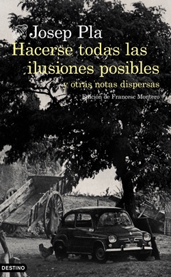 Hacerse todas las ilusiones posibles y otras notas dispersas