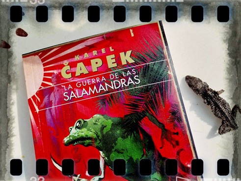 Laguerradelassalamandras2