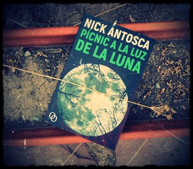 Picnicalaluzdelaluna