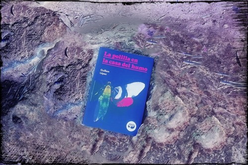 Lapolillaenlacasadelhumo (1)