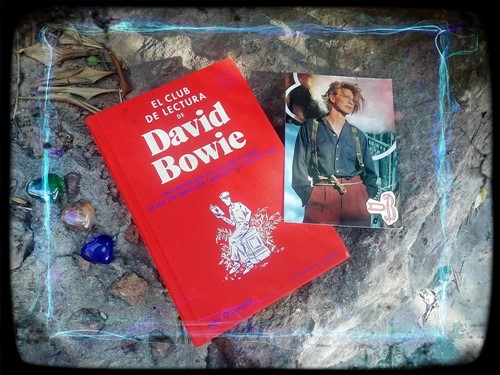 Elclubdelectura Dedavidbowie (1)