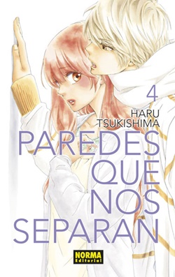 Paredes que nos separan Vol. 4 Paredes que nos separan Vol. 4