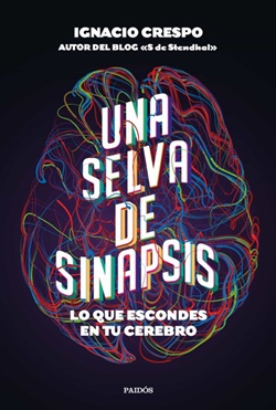 Una selva de sinapsis. Lo que escondes en tu cerebro