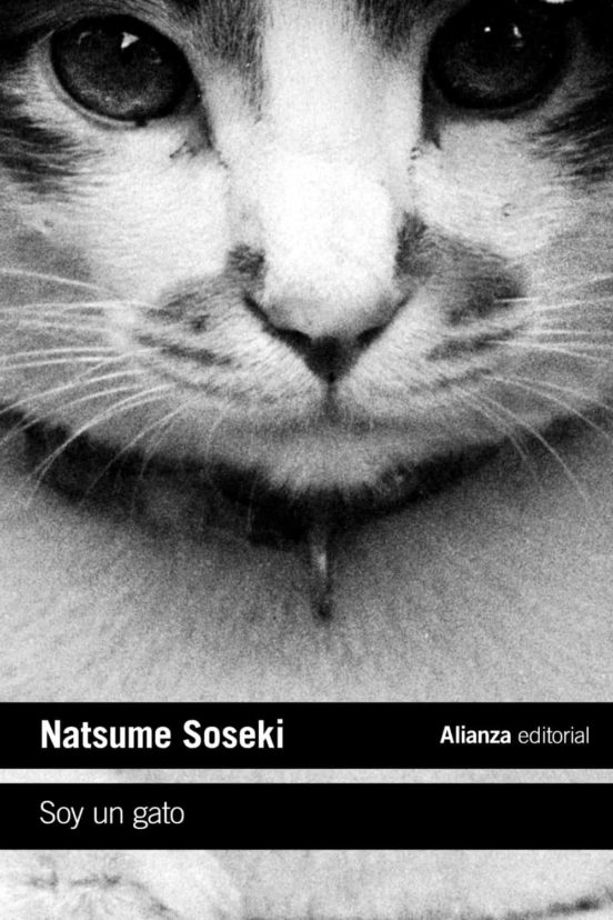 Soy un gato Soy un gato