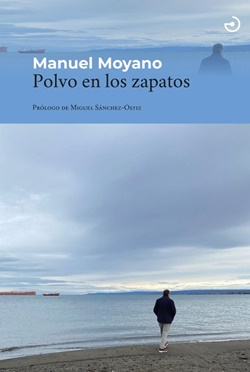 Polvo en los zapatos Polvo en los zapatos