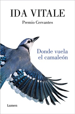 Donde vuela el camaleón Donde vuela el camaleón