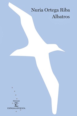 Albatros Albatros