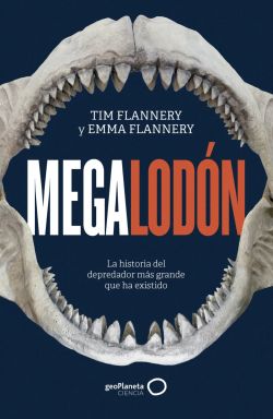 Megalodón Megalodón