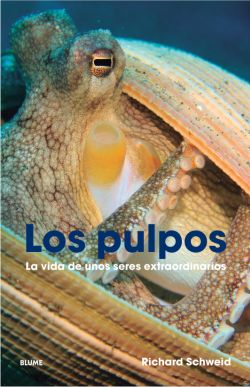 Los pulpos Los pulpos
