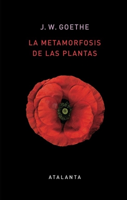 La metamorfosis de las plantas La metamorfosis de las plantas