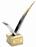 Trofeo