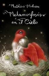 Metamorfosis en el cielo Metamorfosis en el cielo