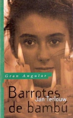 Barrotes de bambú (la cárcel de las sectas) (juvenil)