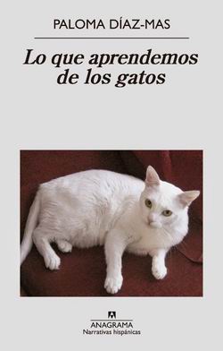 Lo que aprendemos de los gatos Lo que aprendemos de los gatos