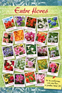 Entre flores Entre flores
