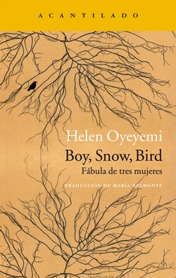 Boy, Snow, Bird Boy, Snow, Bird