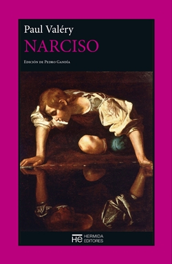 Narciso Narciso