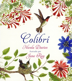 Colibrí