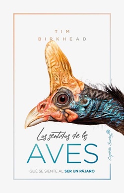 Los sentidos de las aves: qué se siente al ser un pájaro Los sentidos de las aves: qué se siente al ser un pájaro